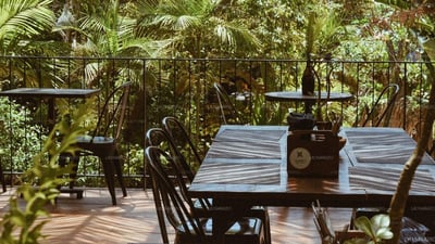 Dots Bay House