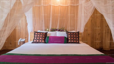 Purple Coot Ayurveda Retreat