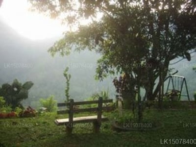Sama Uyana Holiday Bungalow