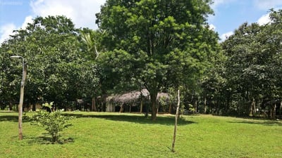Eagle's Wings Guest House