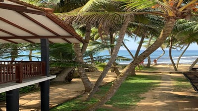 Curry Bowl Guest House and Restaurant
