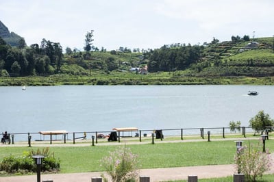 Camellia Lake Resort
