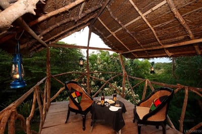 Chaarya Resort & Spa by Chandrika