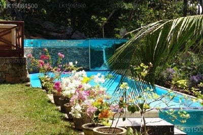 The Villa in Paradise