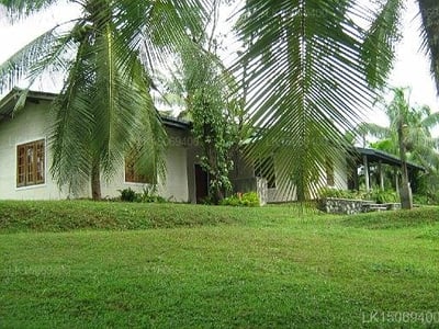 Uyanwatta Holiday Bungalow