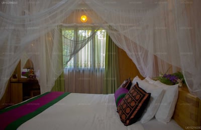 Purple Coot Ayurveda Retreat