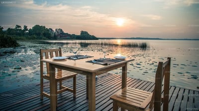 Purple Coot Ayurveda Retreat