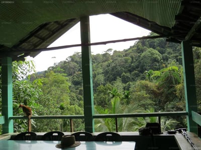 Martin's Lodge