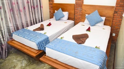 peacock eco resort