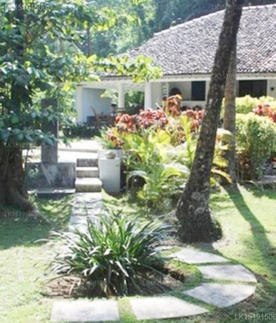 The Well House