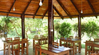 Nilaveli Palm House