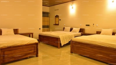 Peaceful Safari Cottage