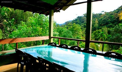 Martin's Lodge