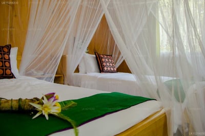 Purple Coot Ayurveda Retreat