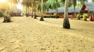 Roshanne Beach Resort