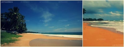 Ocean of Life Ayurvedic Resort