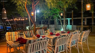 Blue Whale Resort