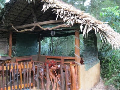 Sinharaja Seyana Eco Lodge