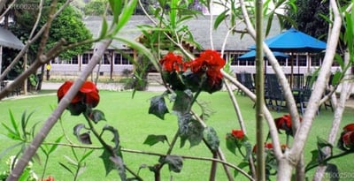 Bandarawela Hotel