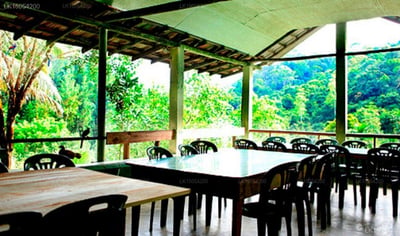 Martin's Lodge