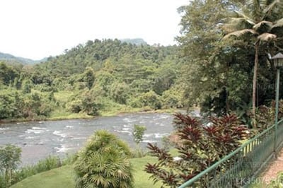 Kithulgala Resort