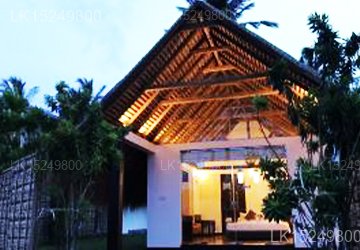 Blue Whale Resort