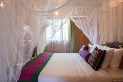 Purple Coot Ayurveda Retreat