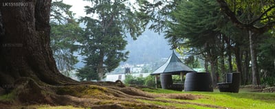 Ferncliff Boutique Bungalow and Spa