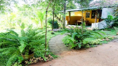 Sigiri Neo Homestay