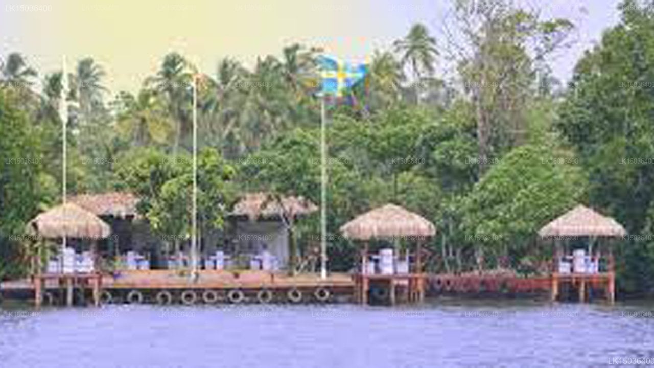 Dalmanuta Gardens