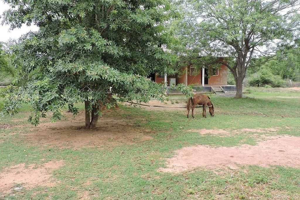 Aranya Resort