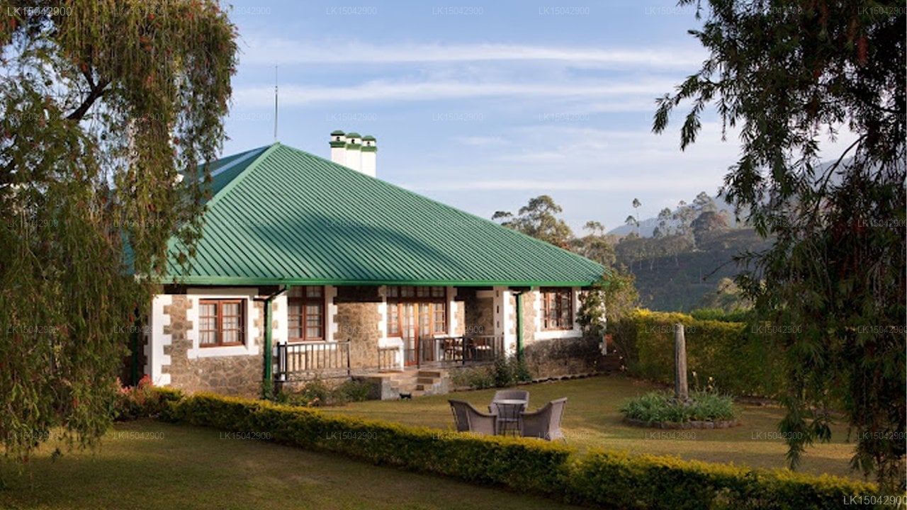 Tientsin Bungalow