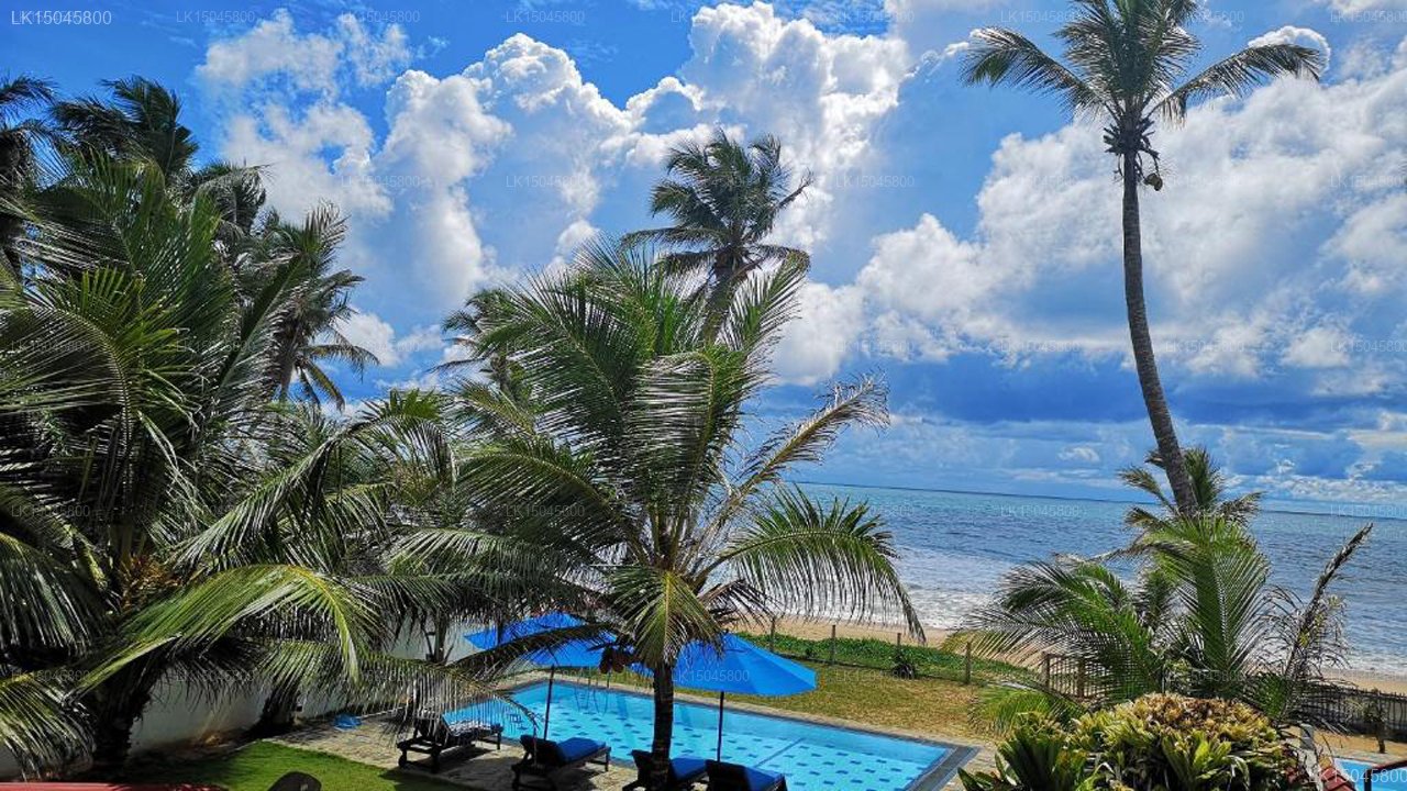 Tropical Beach House