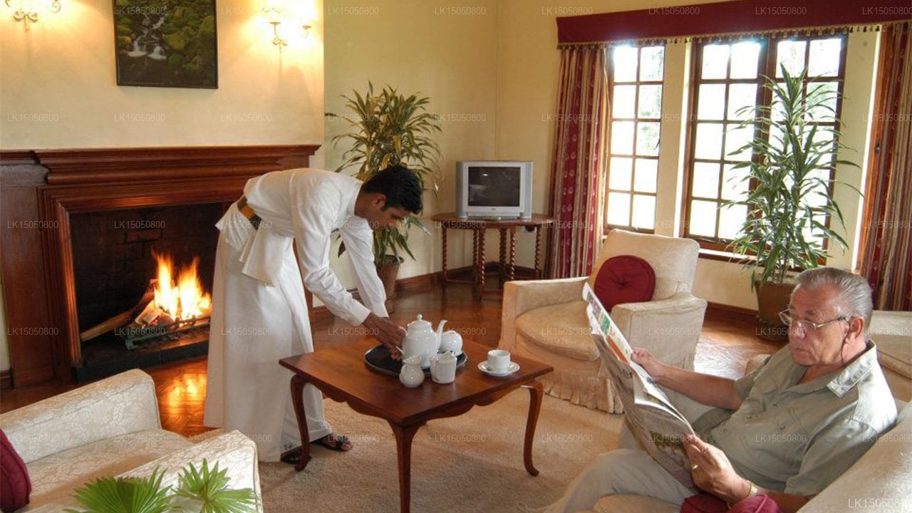 Rosita Tea Plantation Bungalow