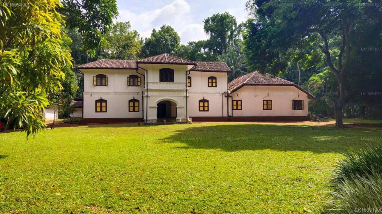 Elpitiya Walauwa