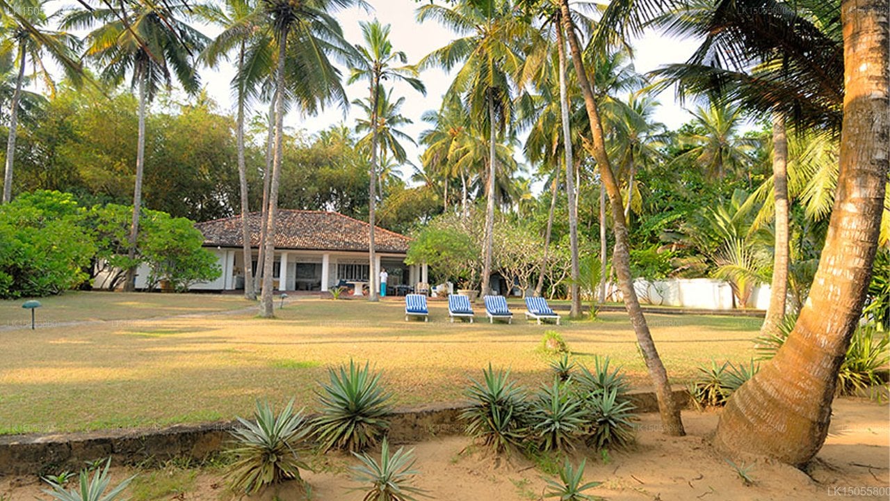 The Beach House