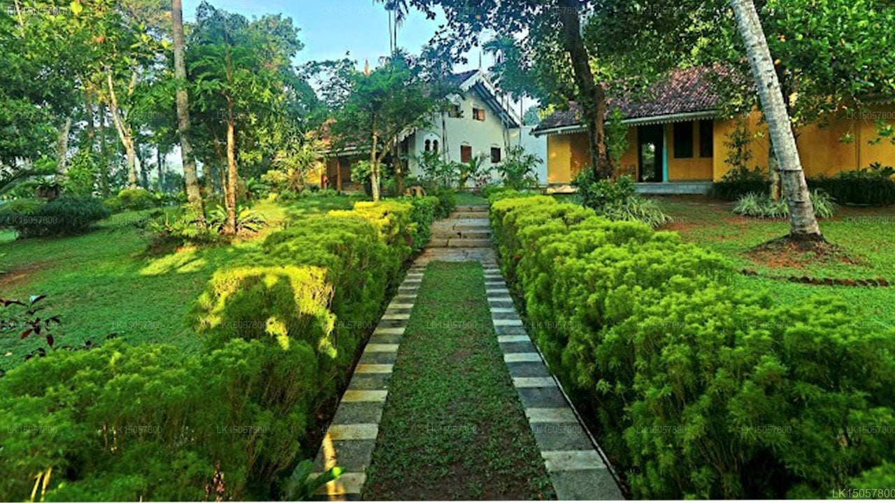 Royal Beach Resort