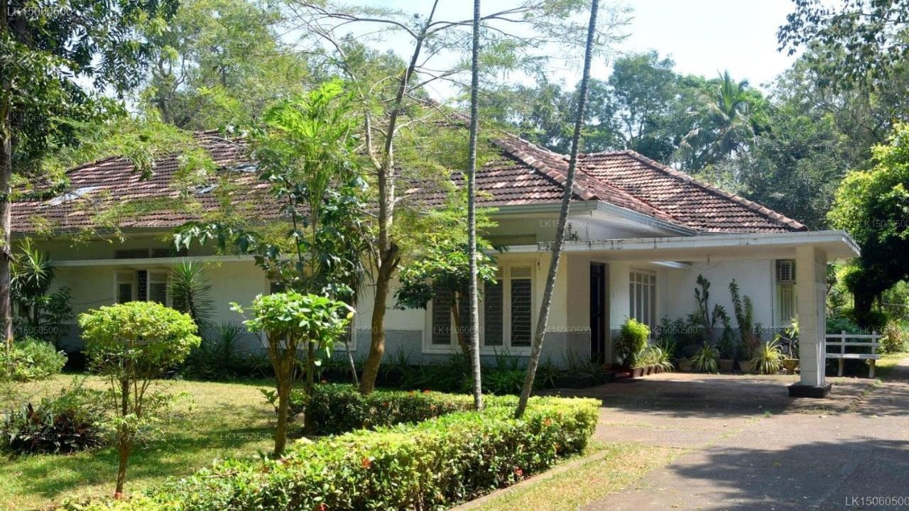 ES Holiday Bungalow