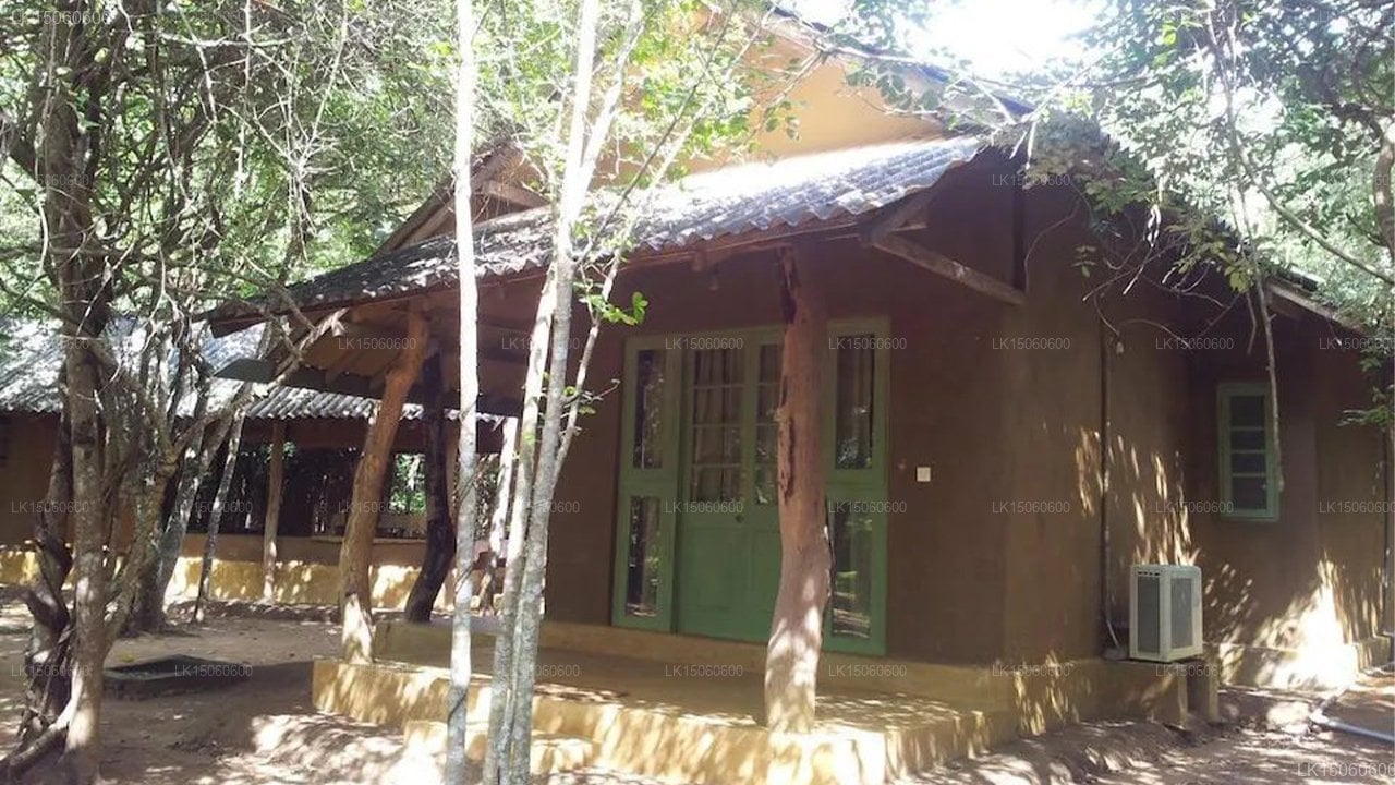 Dream Cottage