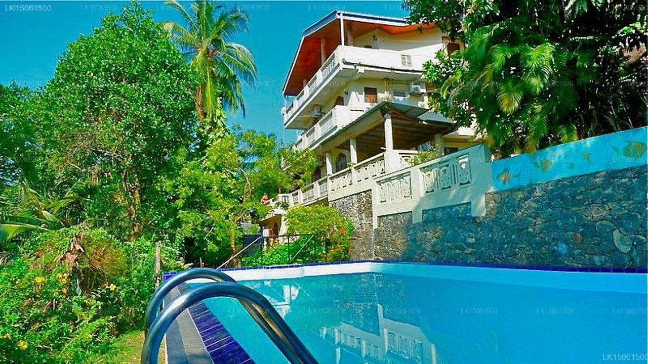 The Villa in Paradise