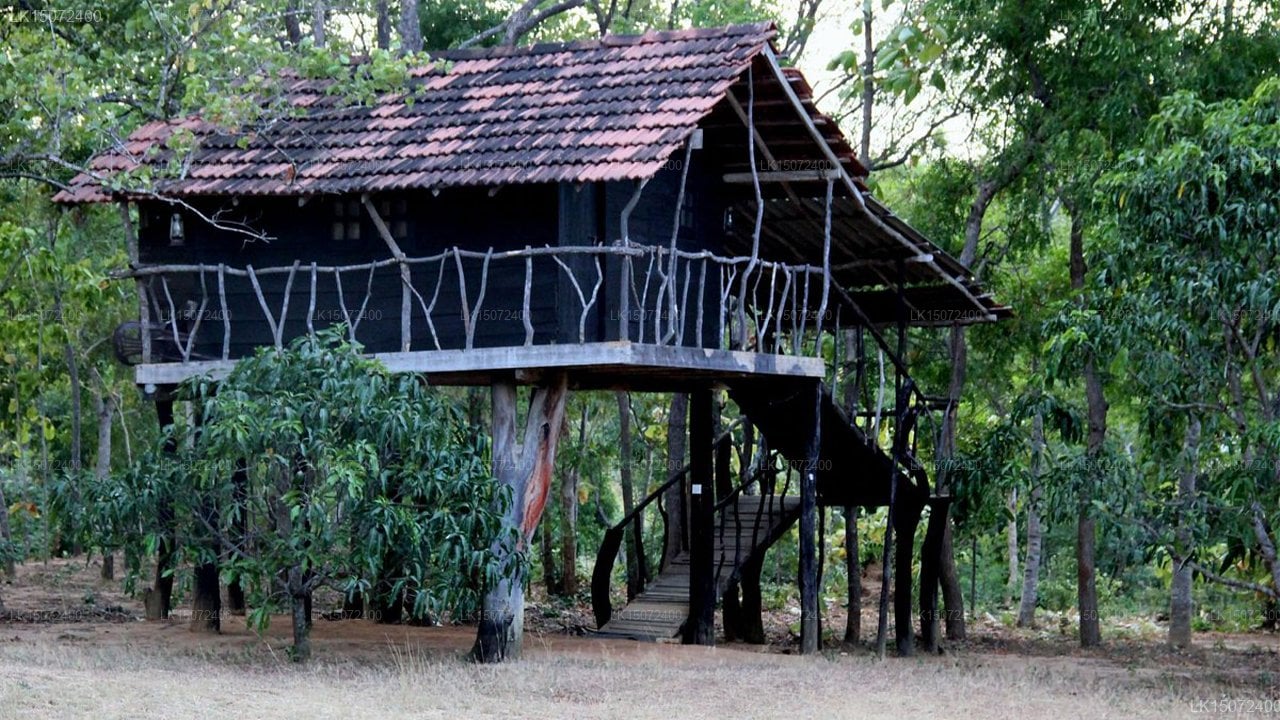 Eagle's Wings Guest House