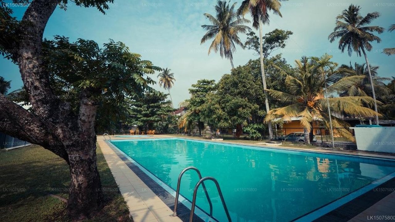 Polhena Reef Garden