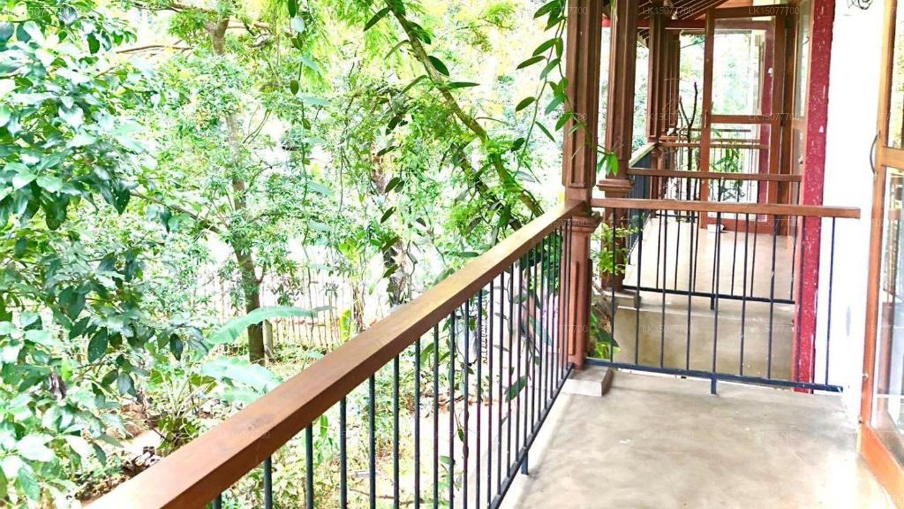 Governors River Lodge Horana