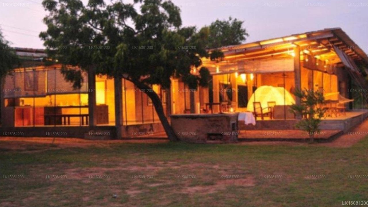 Panthera Lodge
