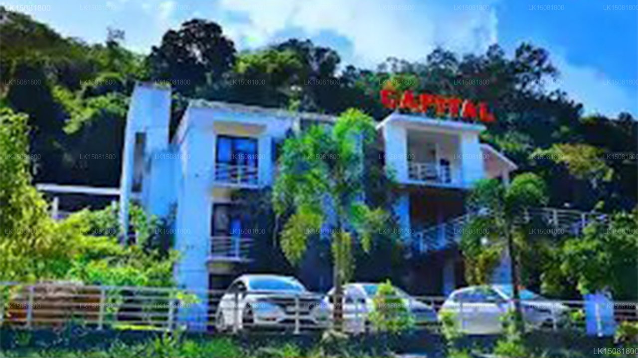Capitol Bungalow