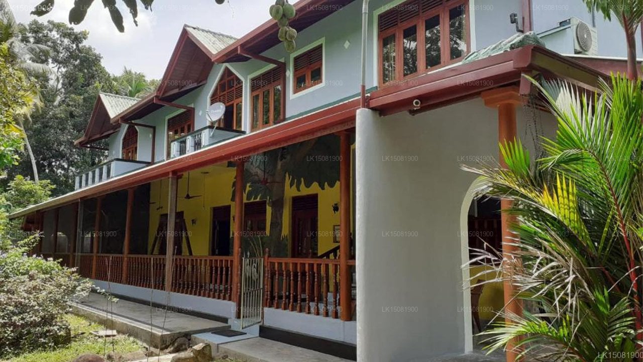 Lake View Bungalow
