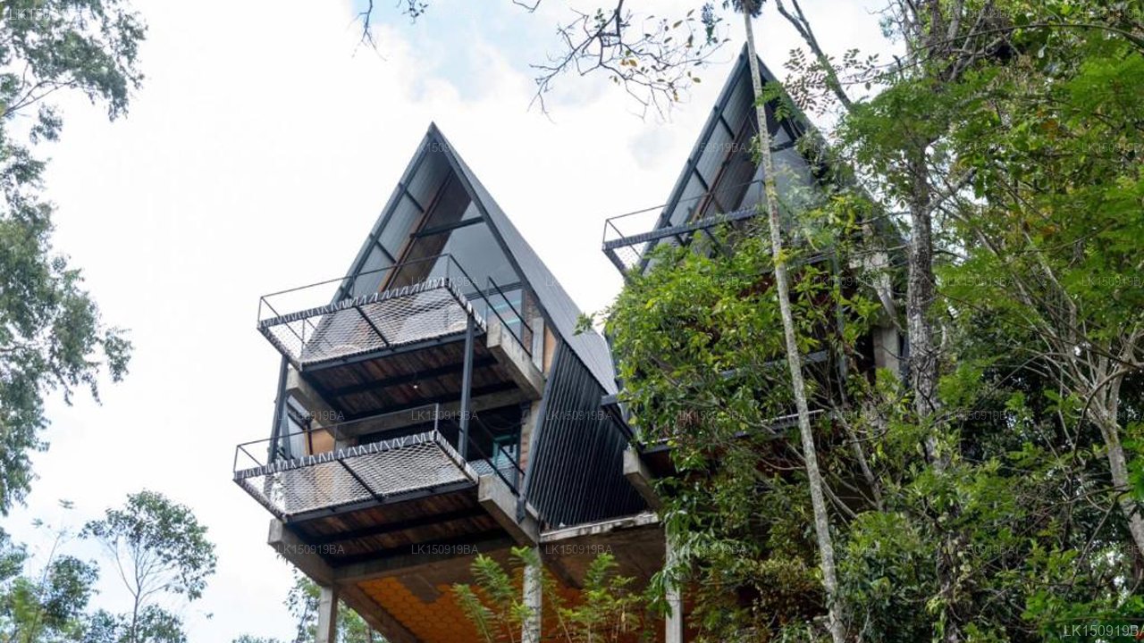 Wild Bee Hostel