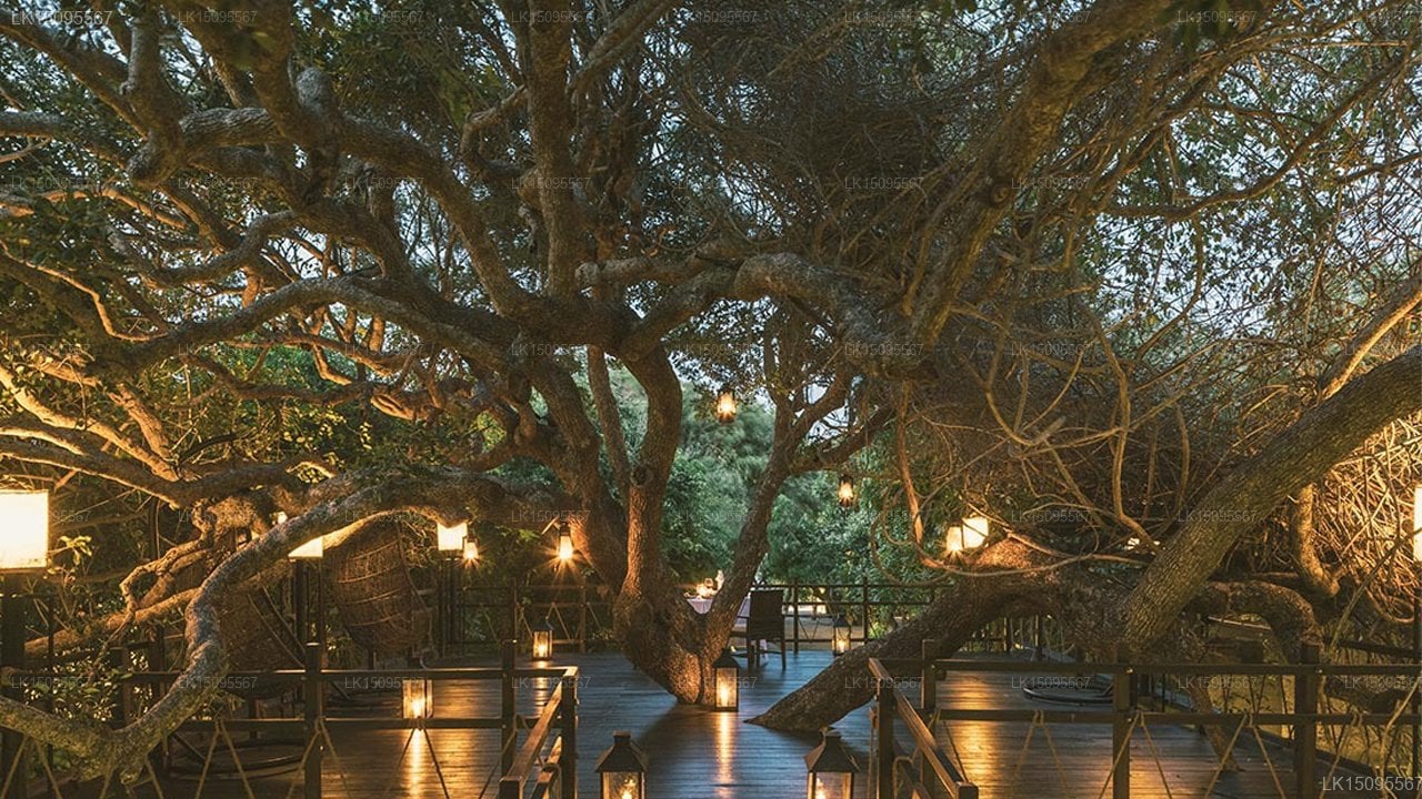 Uga Jungle Beach