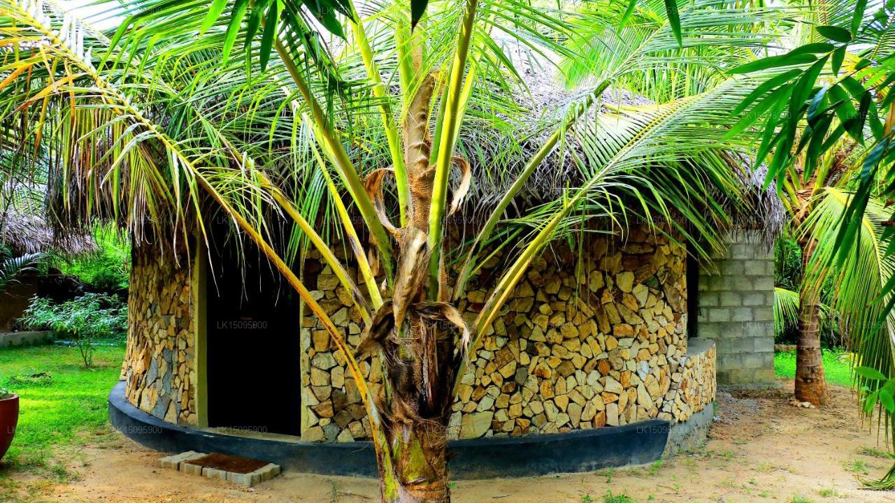 Turtle Beach Cabanas