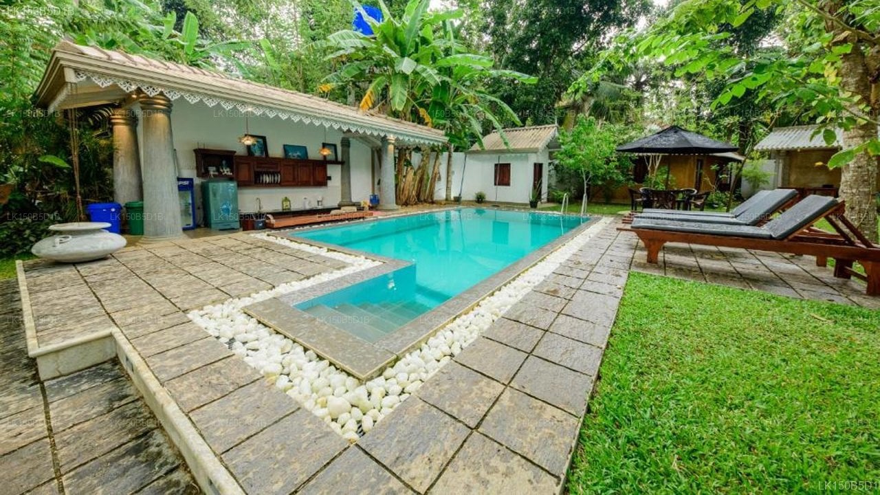 Villa Lotus At Hikkaduwa